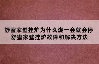 舒蜜家壁挂炉为什么烧一会就会停 舒蜜家壁挂炉故障和解决方法